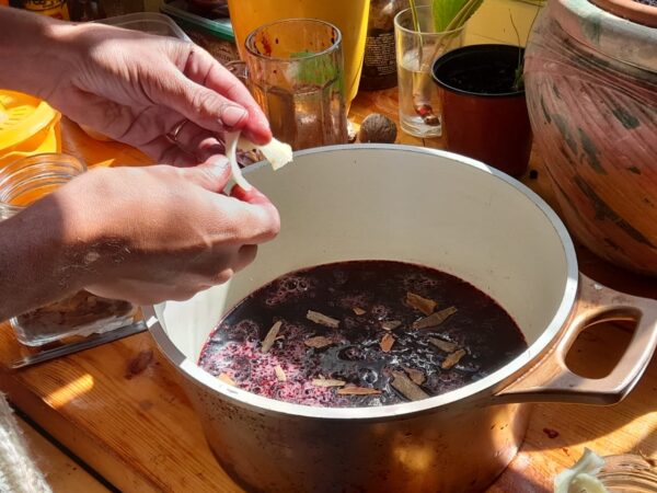 Elderberry Syrup - Image 3