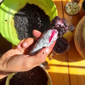 Elderberry Syrup