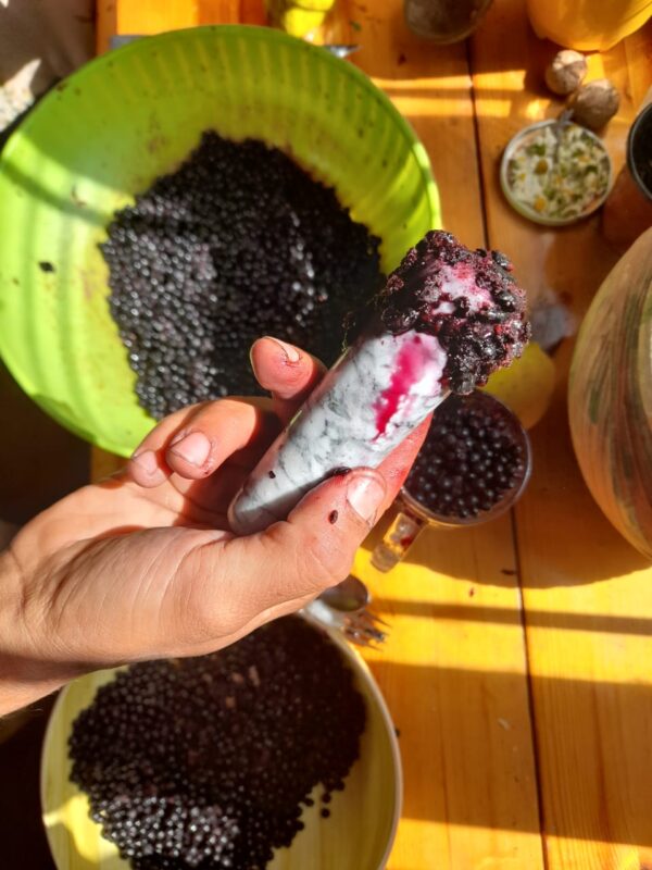 Elderberry Syrup