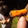 Liver Detox - Image 2