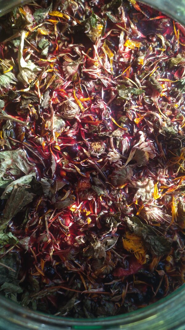 Immune Support - Image 2